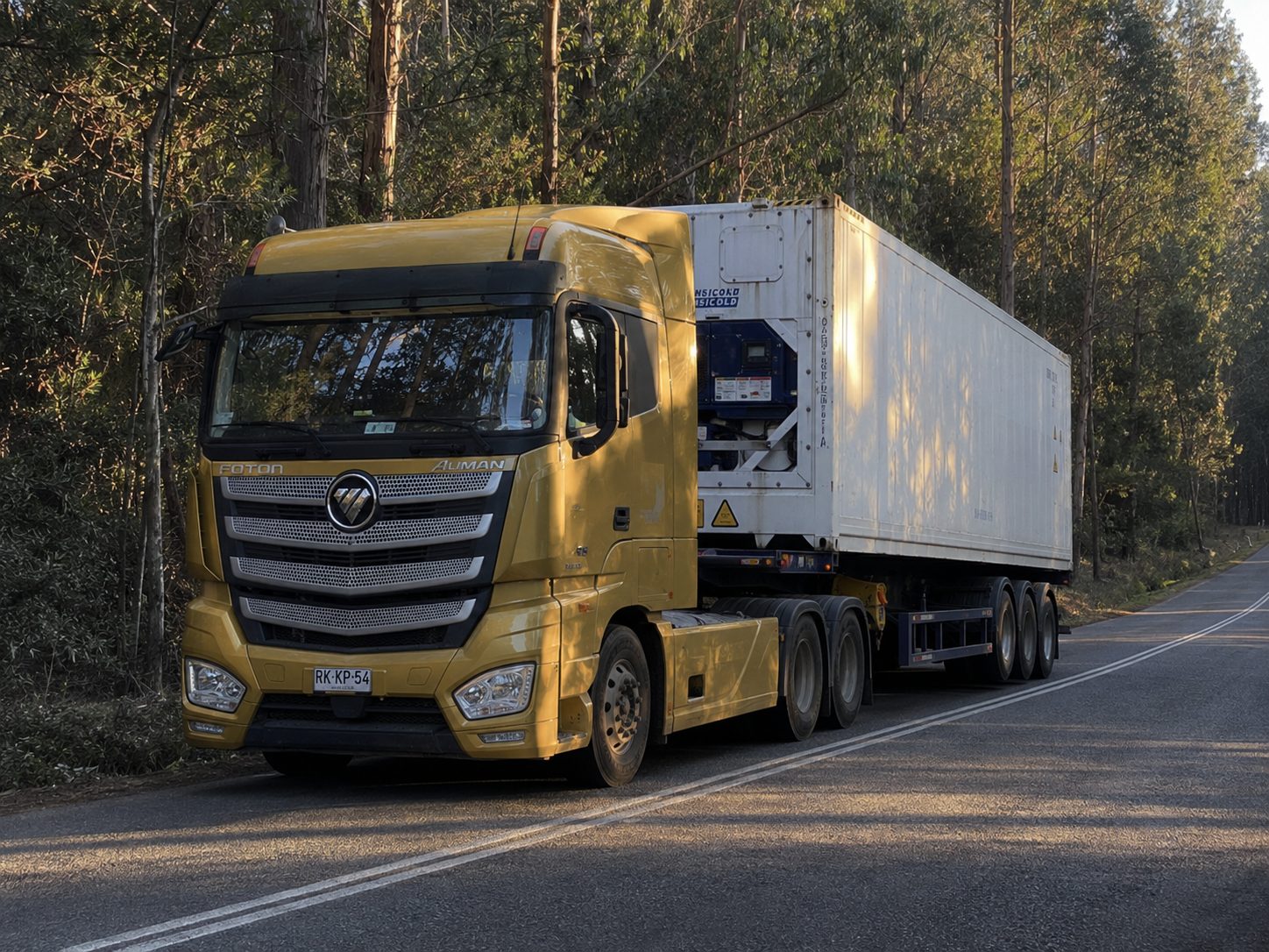 Camión Foton con contenedor refrigerado en ruta rural